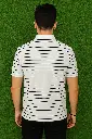 file_00000000a41061f9974fe94f97abda94.webp