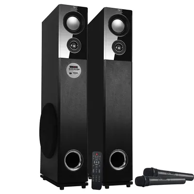 Zebronics Amplified Speaker 100 Watt 2.0 Tower 9500 Black