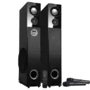 Zebronics Amplified Speaker 100 Watt 2.0 Tower 9500 Black