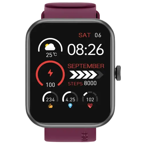 Noise Smart Watch 46.9 mm (1.85 INches) ColorFit Pulse Grand 3 Deep Wine